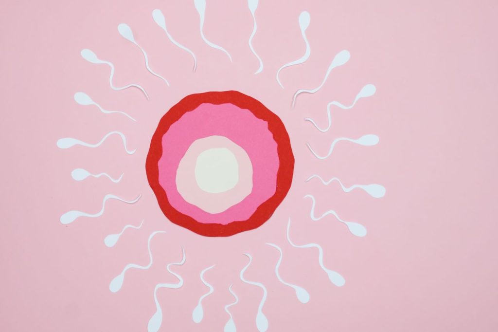Conceptual art of fertilization with sperm and egg on a pink background.